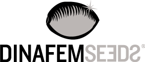 Dinafem Seeds