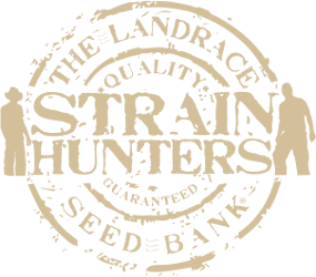 Strain Hunters Seed Bank
